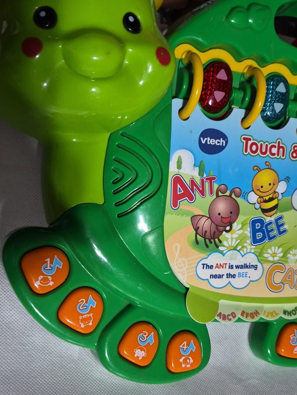 TOUCH AND TEACH TURTLE